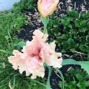 Meet your Posher, Kristin